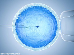私人同性供卵代怀服务怎么选